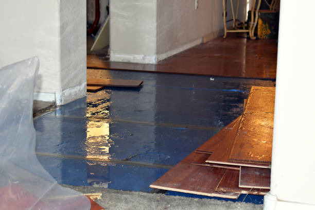 Professional Flood Cleanup technician working in Creston, IA